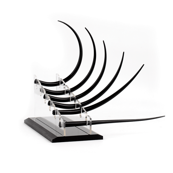 Eyelash Teaching Display Model- A1