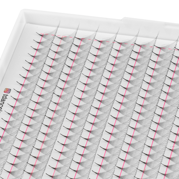 8D Promade Volume 500 Fans Lashbook 2