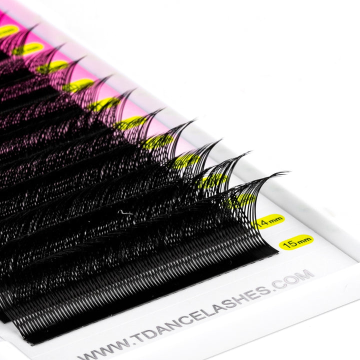 0.07MM Foxy YY Volume Lashes TDANCE