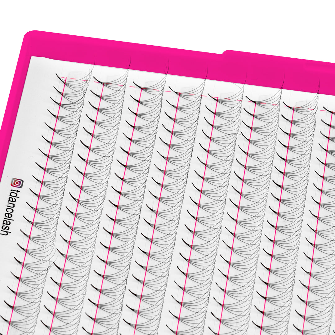 5D Promade Volume 500 Fans Lashbook TDANCE 