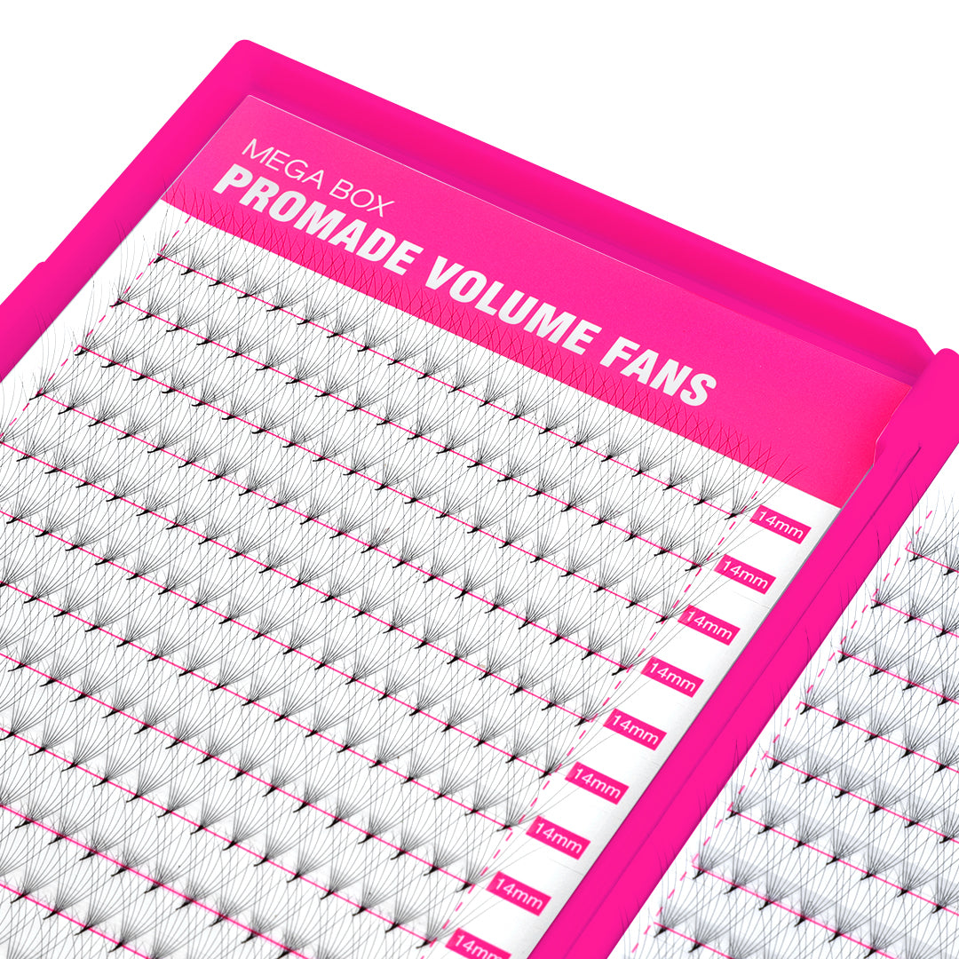 8D Promade Volume 500 Fans Lashbook TDANCE