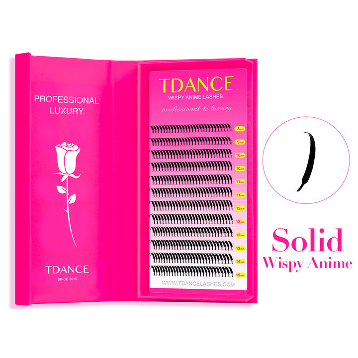 12 Rows 0.07MM Solid Spike Wispy Anime Lashes