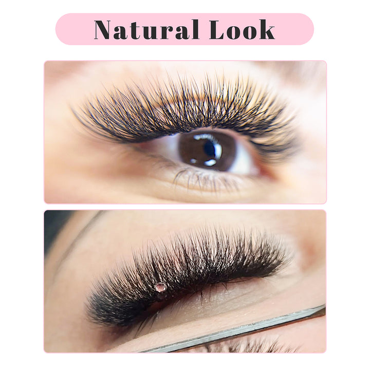 W Style 5D Premade Volume Fan Lashes USA